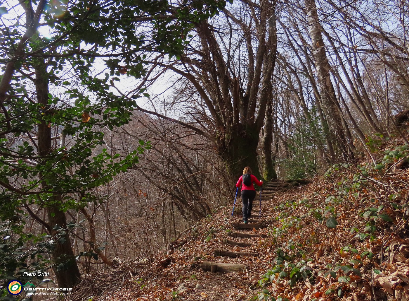 44 Ed ora in decisa salita.JPG